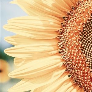 Meet your Posher, Areet